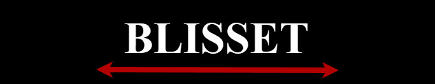 Blisset LLC